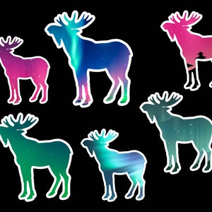 Moose Stickers| Wildlife| Animal Stickers| Laptop Stickers| Hydroflask Sticker| Northern Lights Sticker| Waterproof Sticker| Vinyl Sticker