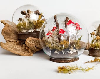 Pilz Terrarium, Zauberpilze in Glasglocke.