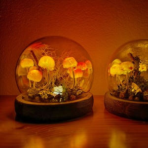 Luminária de terrário de cogumelos, cogumelos brilhantes em cúpula de vidro para os amantes de cogumelos.