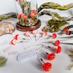 Peut inclure: Une guirlande de champignons miniatures rouges à pois blancs reliés par un fil fin à un boîtier à piles blanc, accompagnée d'une cloche en verre contenant des champignons similaires, du bois flotté, de la mousse verte et des cristaux.