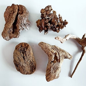 Drijfhoutaquarium, reptielendecor.