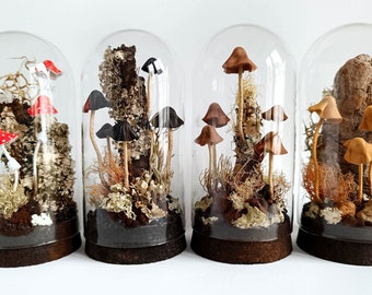 Mushroom terrarium, Mushroom sculpture in glass cloche.