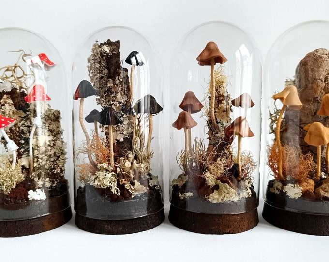 Mushroom Terrarium, Mushroom Sculpture in Glass Cloche. Etsy