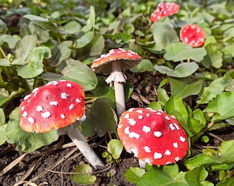 Set Fairy Garden Mushrooms, Realistic Toadstools: Magic Spotted Garden Decor for Indoor and Outdoor.