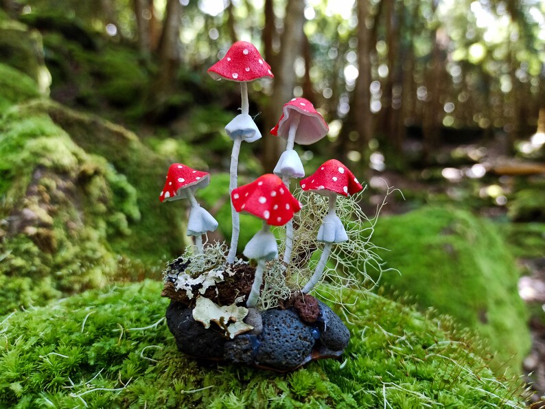 Amanita Mushroom Terrarium Plant Decor Tiny Mushrooms Etsy