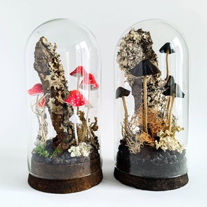 Terrarium with artificial mushrooms.