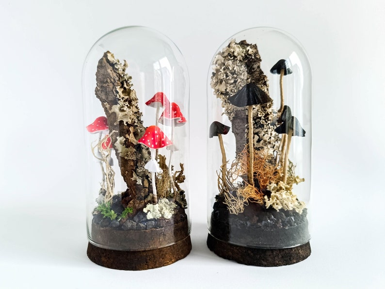 Terrarium with artificial mushrooms.