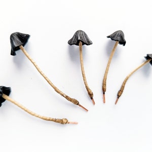 Set of 5 pcs. realistic black mushrooms. Artificial mushrooms.