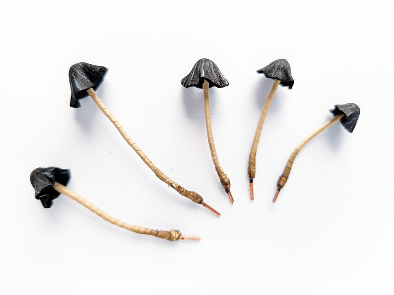 Set of 5 pcs. realistic black mushrooms. Artificial mushrooms.