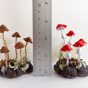 Mushroom decor Amanita, toadstools. Miniature composition of magic mushroom.