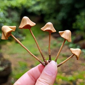 Set of 5 pcs. realistic tan mushrooms. Artificial mushrooms.