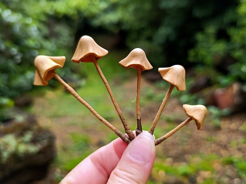 Set of 5 pcs. realistic tan mushrooms. Artificial mushrooms.