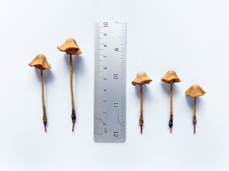 Set of 5 pcs. realistic tan mushrooms. Artificial mushrooms. Mushroom size varies from 3,5 cm / 1.4 in - 7,5 cm / 3 in.