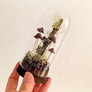 Mushroom terrarium, Handmade mushroom decor in glass cloche. image 9