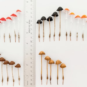 Plant decor tiny mushrooms, Artificial mushrooms.