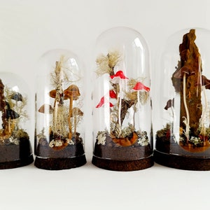 Mushroom terrarium, Handmade mushroom decor in glass cloche. image 1