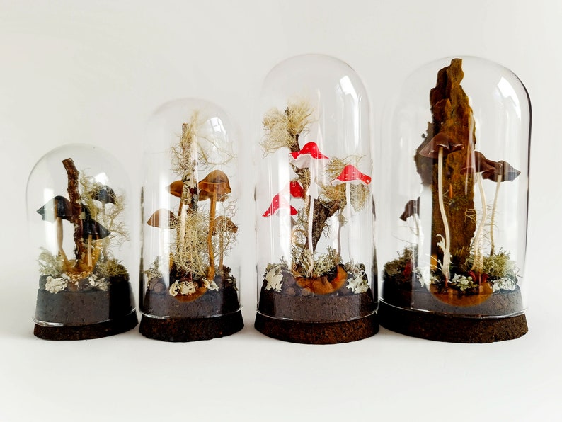 Mushroom terrarium, Handmade mushroom decor in glass cloche. image 1