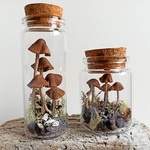 Mushroom terrarium jar, Mushroom ornament christmas, Fairy terrarium.