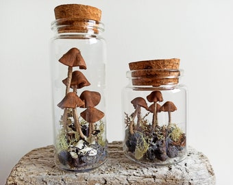 Mushroom terrarium jar, Mushroom ornament christmas, Fairy terrarium.