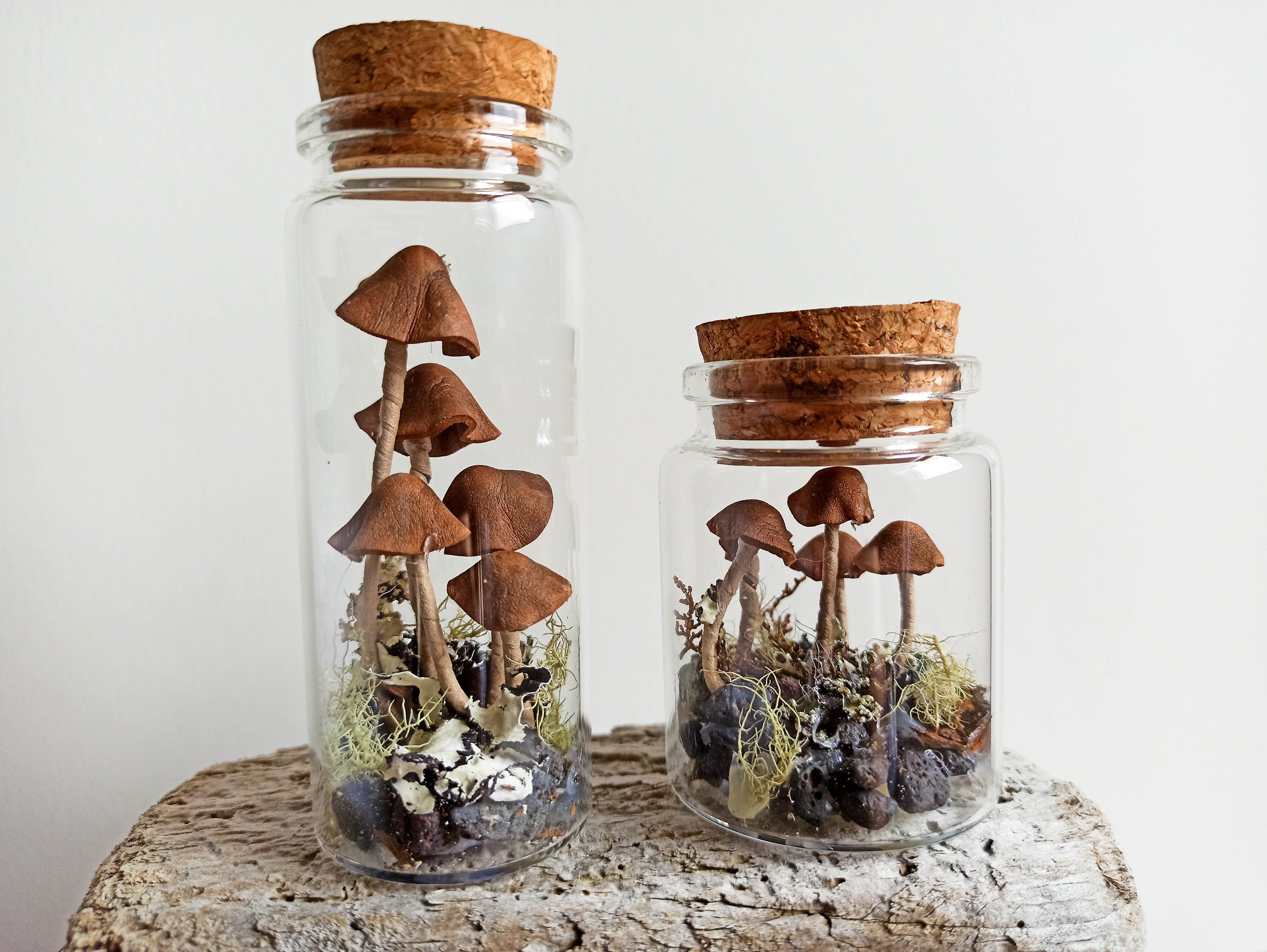 Mushroom Terrarium Jar, Mushroom Ornament Christmas, Fairy