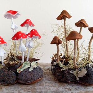 Mushroom decor Amanita, toadstools. Miniature composition of magic mushroom.