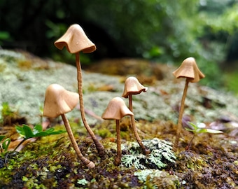 May include: A group of small, brown mushrooms growing on a mossy surface. The mushrooms have a rounded cap and a slender stem.