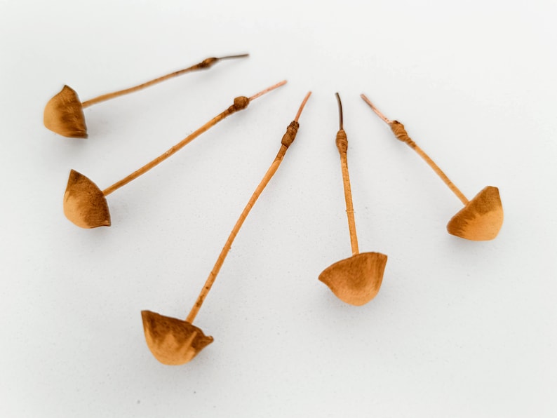 Set of 5 pcs. fake mushrooms tan color.