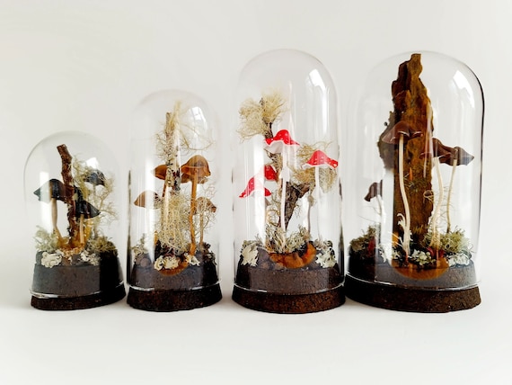 Mushroom terrarium, Handmade mushroom decor in glass cloche.