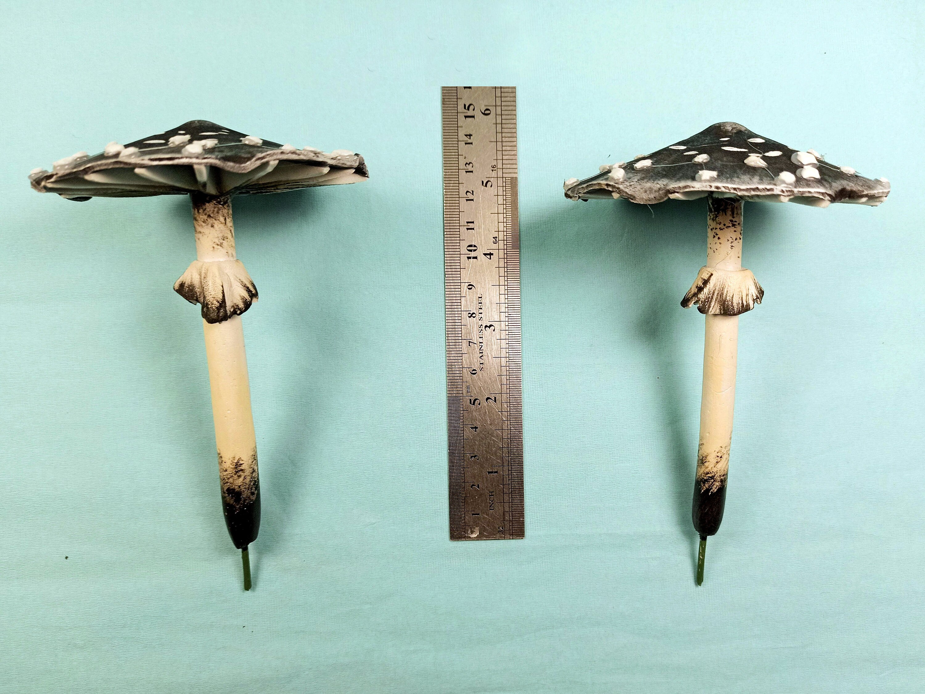 【帯付きレア】マジック・マッシュルーム 完全栽培マニュアル マジック・マッシュルーム完全栽培マニュアル 最高 マジック