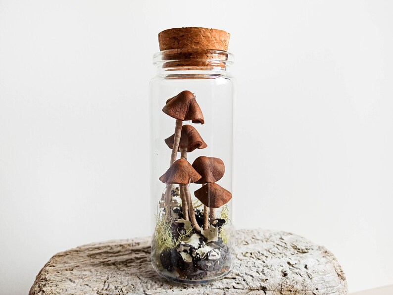 Mushroom Terrarium Jar Mushroom Ornament Christmas Fairy Etsy