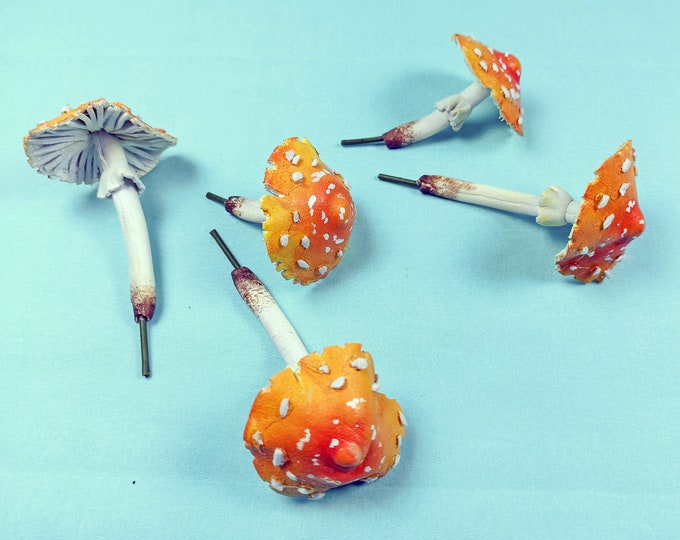 Toadstool mushroom kit, Fairy mushroom decor, Mushroom terrarium.