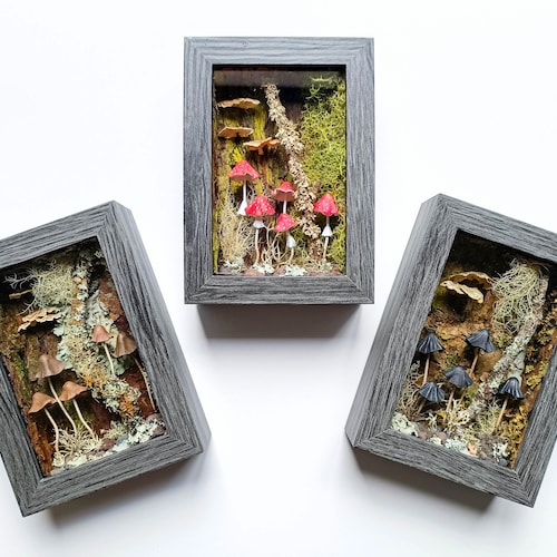 Mushroom Wall Art: Preserved Moss and Forest Decor.
