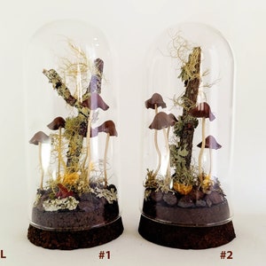 Mushroom terrarium, Handmade mushroom decor in glass cloche. image 5