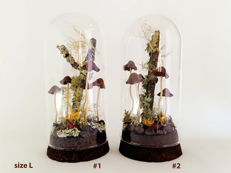 Mushroom terrarium, Handmade mushroom decor in glass cloche. image 5