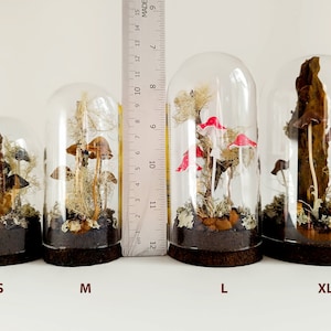 Mushroom terrarium, Handmade mushroom decor in glass cloche. image 2