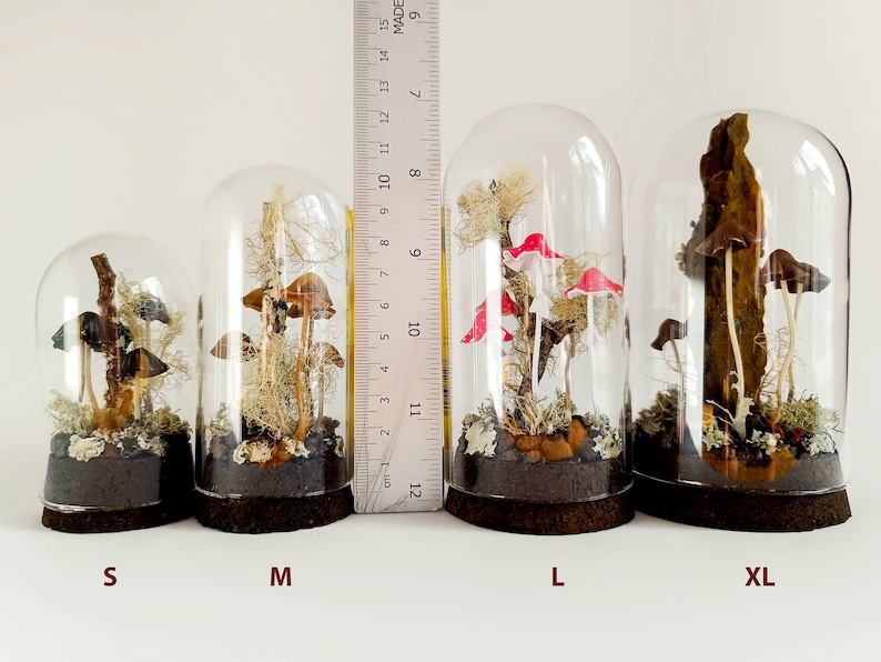 Mushroom terrarium, Handmade mushroom decor in glass cloche. image 2