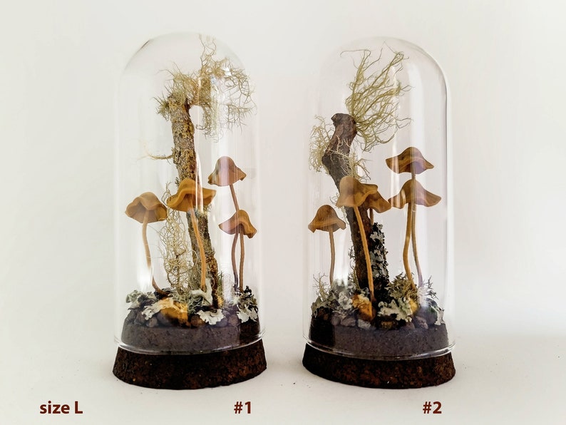 Mushroom terrarium, Handmade mushroom decor in glass cloche. image 6