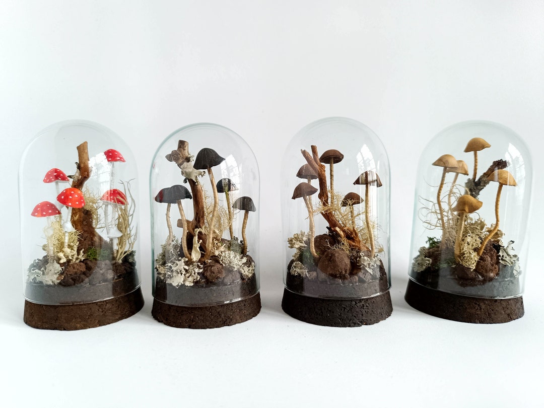 Mushroom Terrarium, Magic Mushrooms in Glass Cloche. Etsy