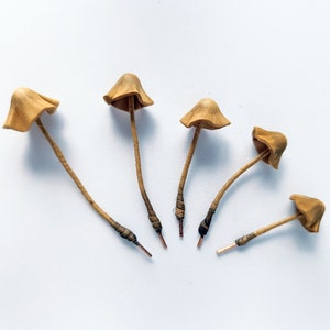 Set of 5 pcs. realistic tan mushrooms. Artificial mushrooms.