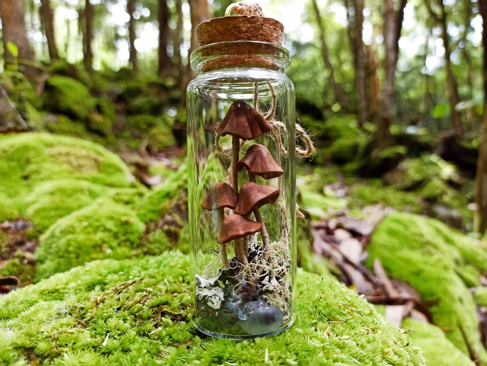 Mushroom Terrarium Jar Mushroom Ornament Christmas Fairy Etsy