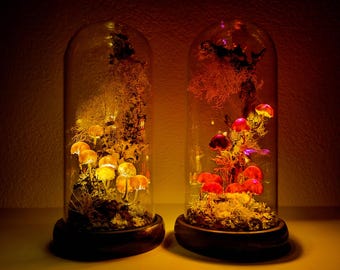 May include: Two glass cloches on dark wooden bases, each containing illuminated mushroom figures and moss. The left cloche glows with warm yellow light, while the right cloche features vibrant red and pink glowing mushrooms.