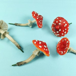 Amanita Mushroom Kit: Magic Mushroom Decoration, Fairy Garden and Indoor Decor.