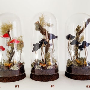 Mushroom terrarium, Handmade mushroom decor in glass cloche. image 4