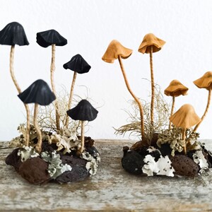 Mushroom decor Amanita, toadstools. Miniature composition of magic mushroom.