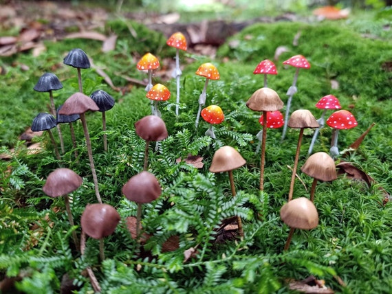 Fairy garden kit fake mushrooms, Mushroom sculpture for terrarium decor, Plant stake Fungi.