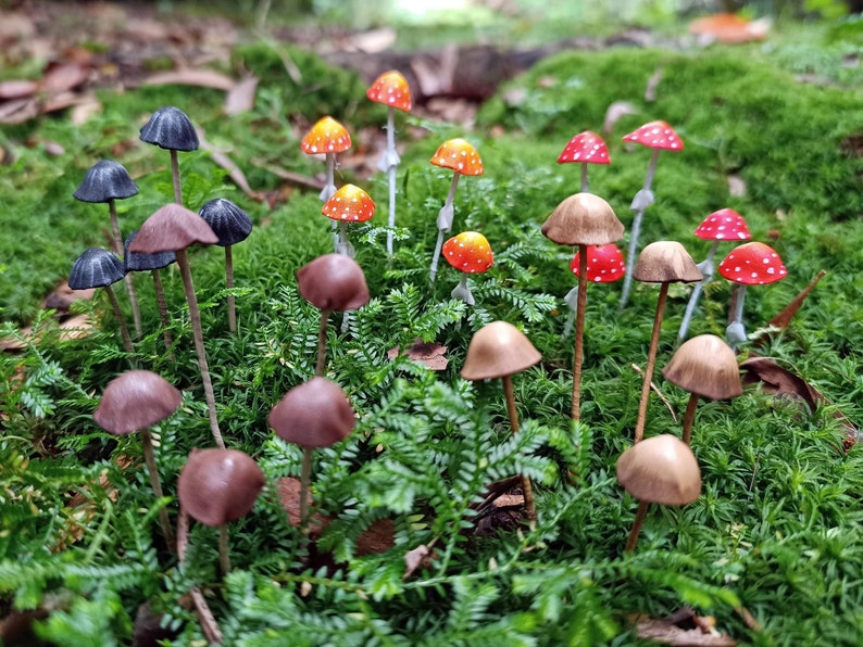 A collection of miniature mushroom figurines in various colors, including brown, black, red, yellow, tan, and brown. The mushrooms are arranged on a bed of green moss.