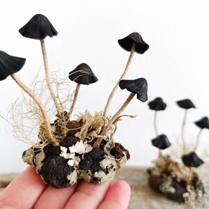 Mushroom decor Amanita, toadstools. Miniature composition of Black mushrooms.