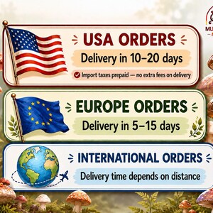 USA orders: delivery in 10–20 days, import taxes prepaid, no extra fees on delivery. Europe orders: delivery in 5–15 days. International delivery time depends on distance.