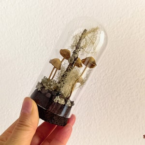 Mushroom terrarium, Handmade mushroom decor in glass cloche. image 8