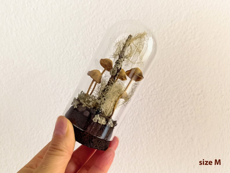 Mushroom terrarium, Handmade mushroom decor in glass cloche. image 8